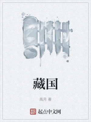 藏国小说TXT下载