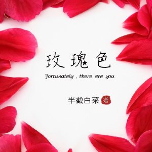玫瑰色人生韩剧国语版