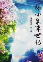 林小泉小说全集免费阅读