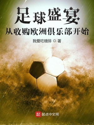 中国收购的欧洲足球俱乐部