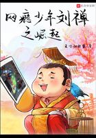《网瘾少年刘禅之崛起》小说阅读